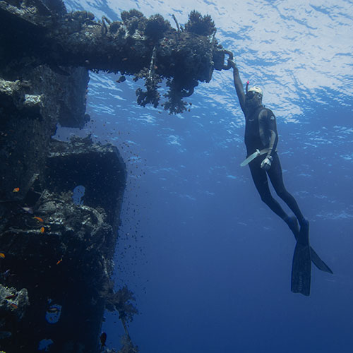 Freediving with Aquastars in the Red Sea