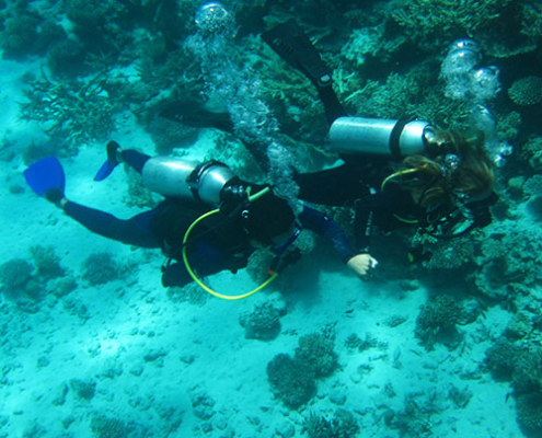 Discover Diving with Aquastars in the Red Sea
