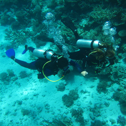 Discover Diving with Aquastars in the Red Sea