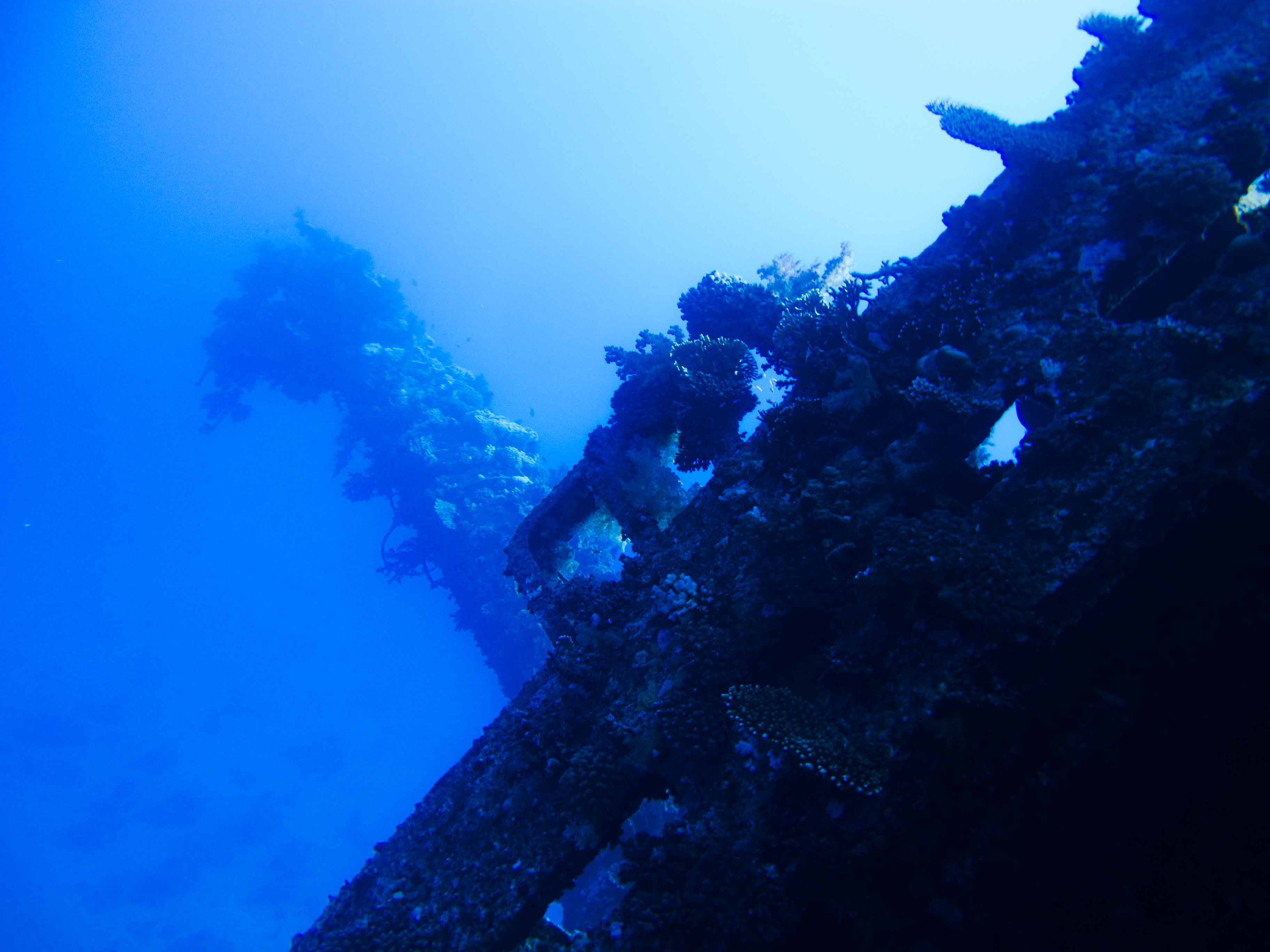 Wreck Diving in the Red Sea with Aquastars
