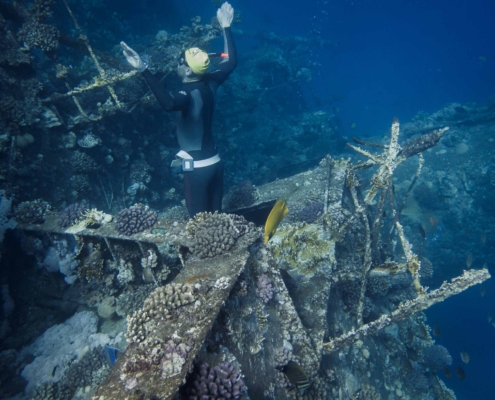 Freediving on Wrecks in the Red Sea with Aquastars
