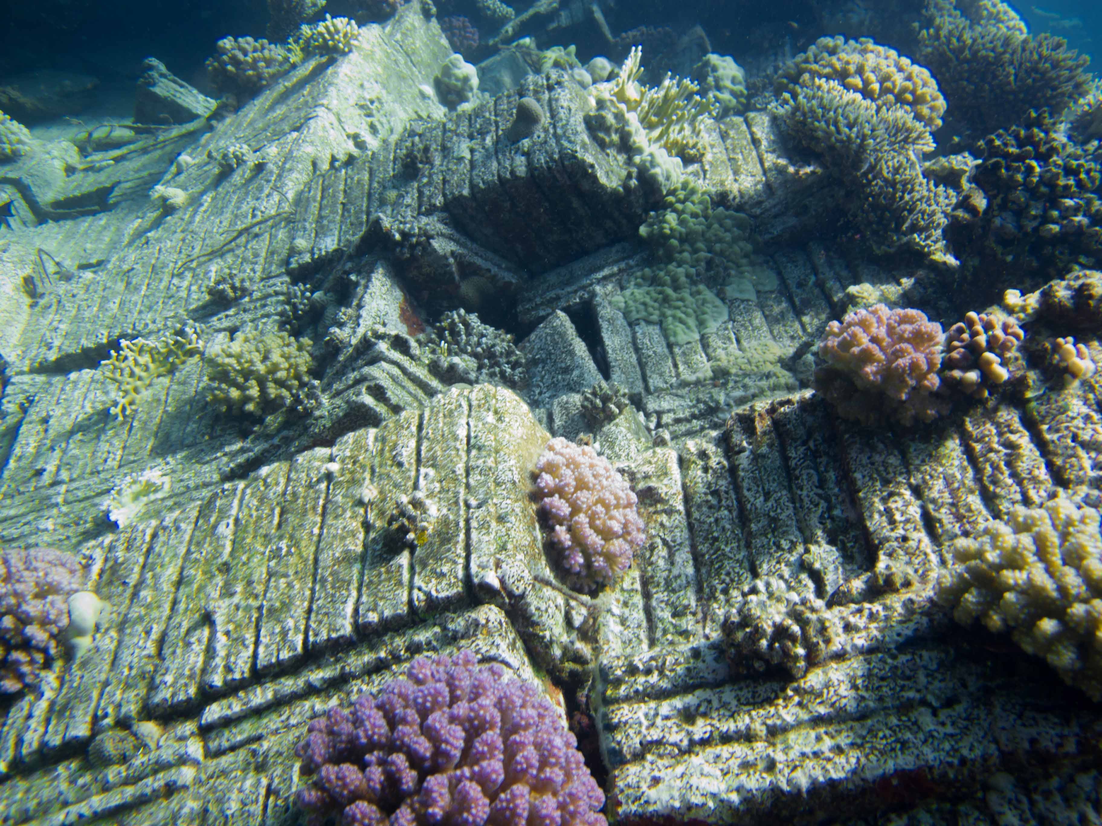 Wreck Diving in the Red Sea with Aquastars