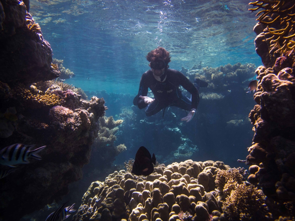 Freediving in the Red Sea with Aquastars