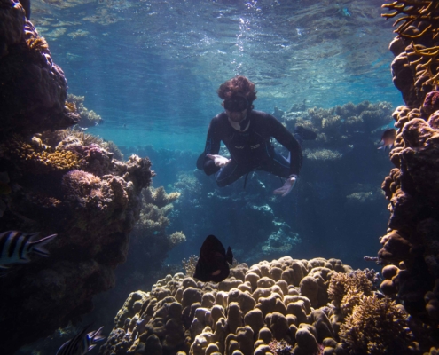 Freediving in the Red Sea with Aquastars