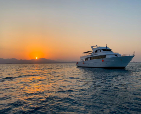 Liveaboard Boat at Sunset in the Red Sea