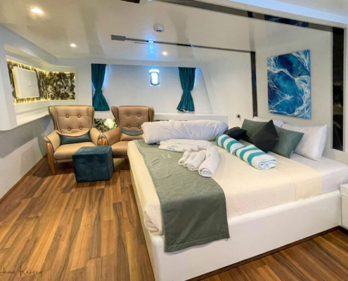 Double Room on luxury safari boat in the Red Sea